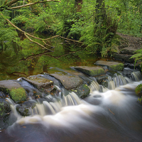 Buy canvas prints of Third Coppice Stepping Stones, Rivelin  by Darren Galpin