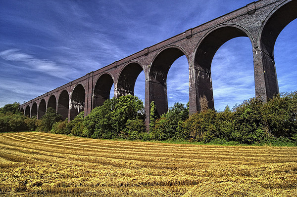 Conisbrough Viaduct  Picture Board by Darren Galpin
