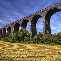Buy canvas prints of Conisbrough Viaduct  by Darren Galpin