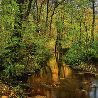 Buy canvas prints of Rivelin Autumn Reflections  by Darren Galpin