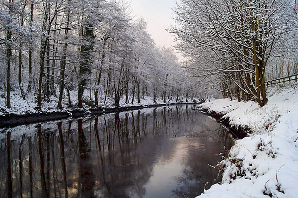 River Don in Winter  Picture Board by Darren Galpin