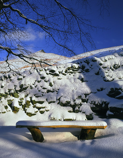 Ringing Roger and Bench in the Snow Picture Board by Darren Galpin