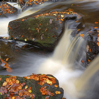 Buy canvas prints of On the Rocks in Padley Gorge  by Darren Galpin