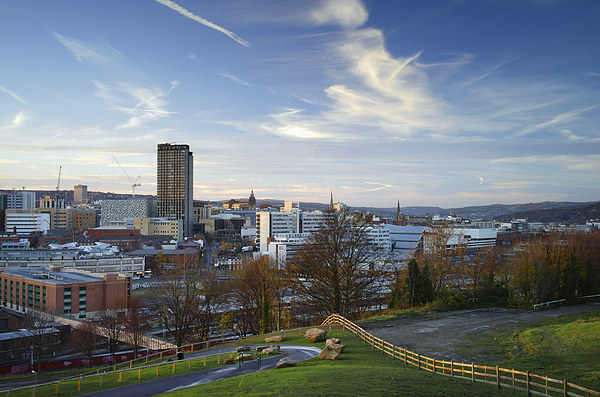 Sheffield Skyline from Cholera Monument  Picture Board by Darren Galpin