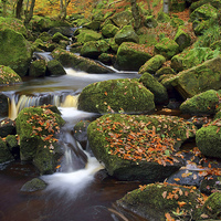 Buy canvas prints of Padley Gorge Autumn Colours  by Darren Galpin