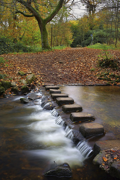 Porter Brook Stepping Stones and Falls Picture Board by Darren Galpin