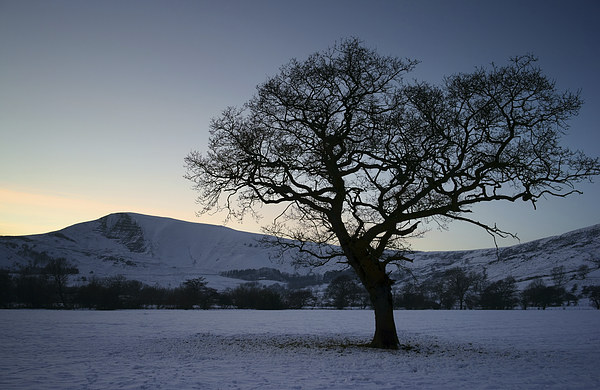 Mam Tor and Lone Tree  Picture Board by Darren Galpin