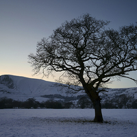 Buy canvas prints of Mam Tor and Lone Tree  by Darren Galpin