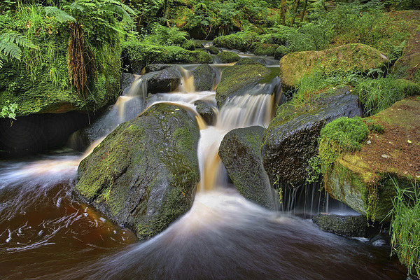 Wyming Brook Falls in Summer  Picture Board by Darren Galpin