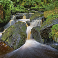 Buy canvas prints of Wyming Brook Falls in Summer  by Darren Galpin