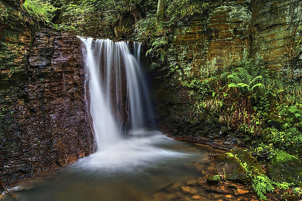 Waterfall near Damflask Reservoir Picture Board by Darren Galpin