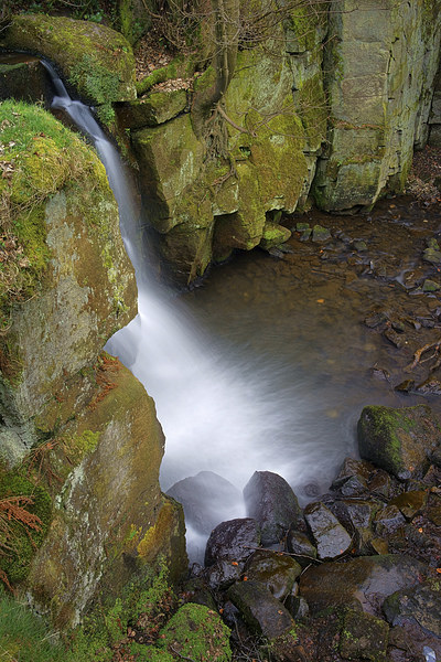 Looking Down Lumsdale Falls  Picture Board by Darren Galpin