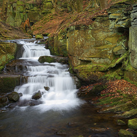 Buy canvas prints of Lumsdale Waterfalls  by Darren Galpin