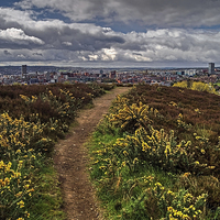 Buy canvas prints of Parkwood Springs View over Sheffield  by Darren Galpin