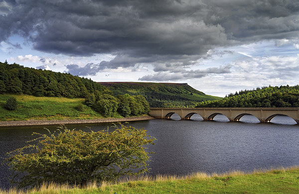 Summer at Ladybower  Picture Board by Darren Galpin
