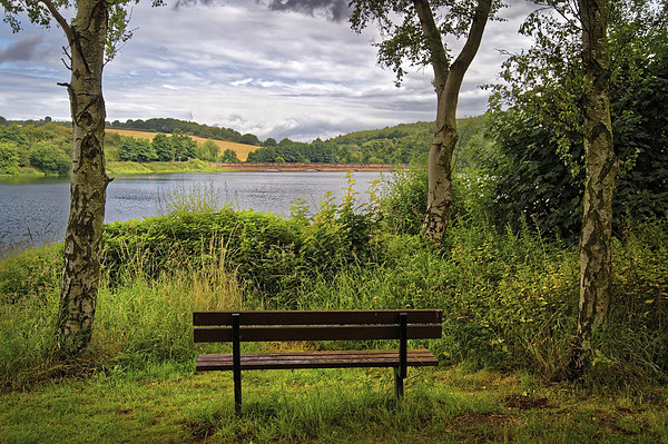 Ulley Bench with a View  Picture Board by Darren Galpin