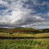 Buy canvas prints of Longshaw Summer View  by Darren Galpin