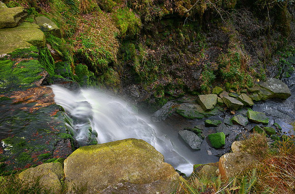 Looking Down Middle Black Clough Falls  Picture Board by Darren Galpin