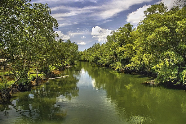 Mone River, Bislig  Picture Board by Darren Galpin