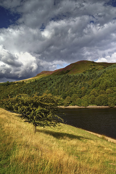 Big Clouds over Ladybower  Picture Board by Darren Galpin