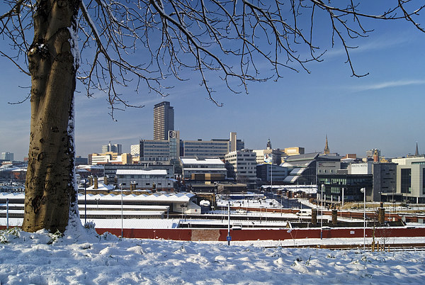 Sheffield City Centre viewed from Park Hill  Picture Board by Darren Galpin