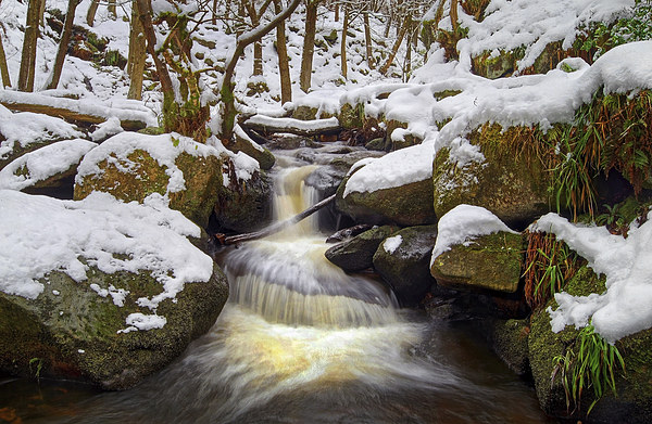 Snow in Padley Gorge  Picture Board by Darren Galpin