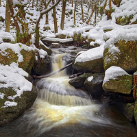 Buy canvas prints of Snow in Padley Gorge  by Darren Galpin