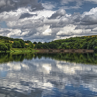 Buy canvas prints of Ulley Country Park Reflections  by Darren Galpin