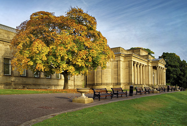 Weston Park Museum in Autumn Picture Board by Darren Galpin