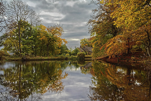 Bentley Brook Mill Pond  Picture Board by Darren Galpin