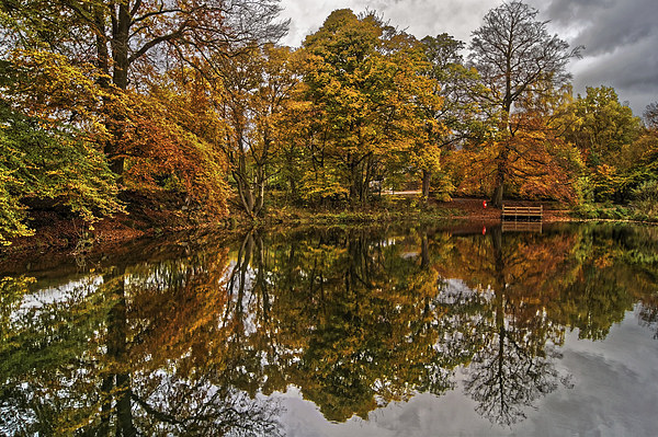 Lumsdale Autumn Reflections  Picture Board by Darren Galpin