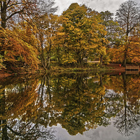 Buy canvas prints of Lumsdale Autumn Reflections  by Darren Galpin