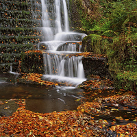 Buy canvas prints of Lumsdale Autumn Leaves and Falls  by Darren Galpin