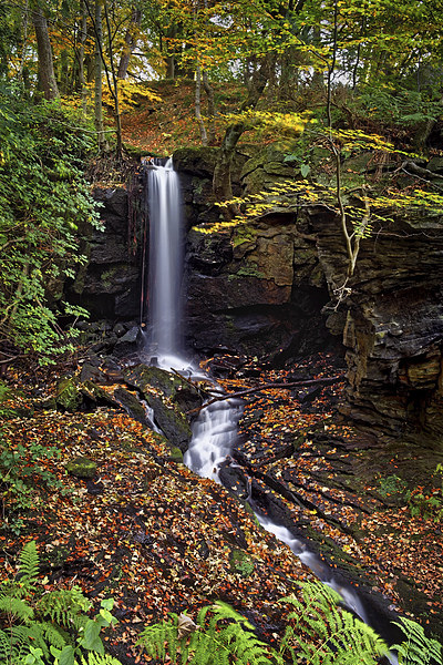Cascading Falls in Lumsdale  Picture Board by Darren Galpin