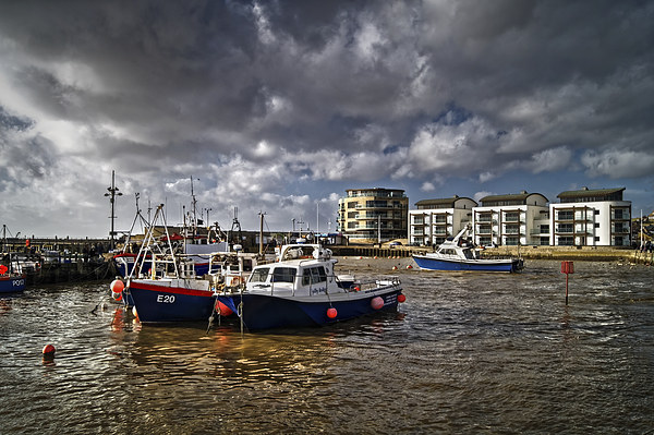 West Bay Harbour  Picture Board by Darren Galpin