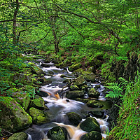 Buy canvas prints of Looking Down Padley Gorge by Darren Galpin
