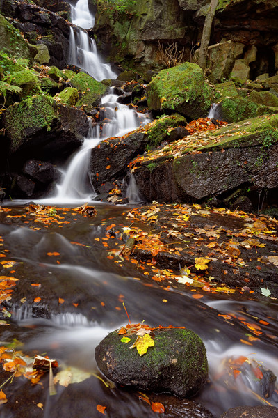 Lumsdale Falls in Autumn Picture Board by Darren Galpin