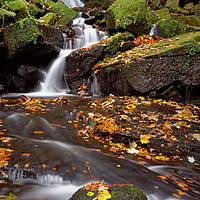 Buy canvas prints of Lumsdale Falls in Autumn by Darren Galpin