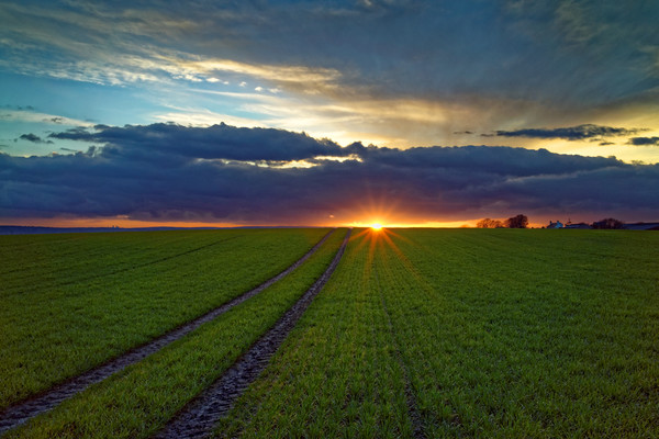 Penny Hill Farmland Sunset Picture Board by Darren Galpin