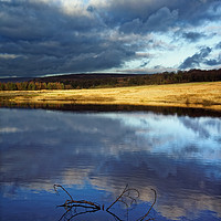 Buy canvas prints of Longshaw Reflections by Darren Galpin