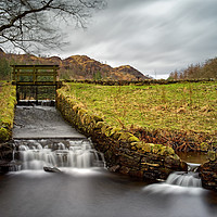 Buy canvas prints of Yew Tree Beck and Tarn by Darren Galpin
