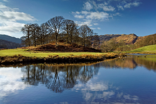 River Brathay Reflections                          Picture Board by Darren Galpin