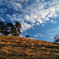 Buy canvas prints of Colmers Hill                        by Darren Galpin