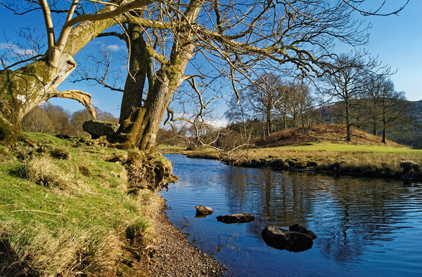 Banks of the River Brathay                       Picture Board by Darren Galpin