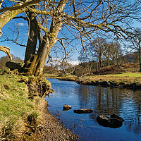 Buy canvas prints of Banks of the River Brathay                       by Darren Galpin