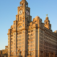 Buy canvas prints of Royal Liver Building at Sunset                     by Darren Galpin