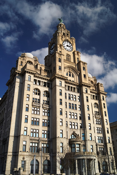 Royal Liver Building                       Picture Board by Darren Galpin