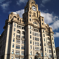 Buy canvas prints of Royal Liver Building                       by Darren Galpin