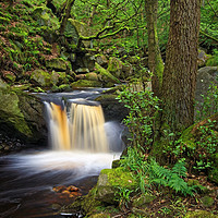 Buy canvas prints of Padley Gorge                      by Darren Galpin