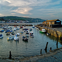 Buy canvas prints of Lyme Regis Harbour                       by Darren Galpin